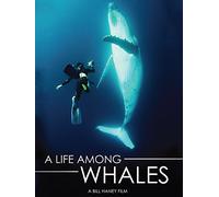 A Life Among Whales [DVD] [2009]
