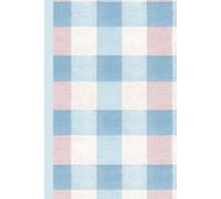 A light blue and blush pink gingham pattern: Work Notebook, Funny Office Gift for Women, Coworker, Boss, Secret Santa Gag Gift (Blank Lined Journal)