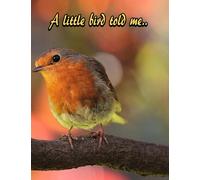 A Little Bird Told Me: Inspirational Robin Bird Design Notebook/Journal with 110 Lined Pages (8.5 x 11)