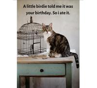 A Little Birdie - Funny Cat Greeting Birthday Card - FF2115 - Blank Inside