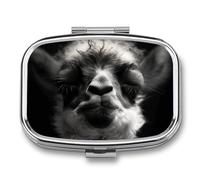 A Little Camel Pill Box 2 Compartment, Portable Pill Case with Mirror for Pocket Purse Travel, Mini Metal Medicine Organizer for Vitamins Fish Oil