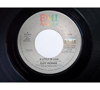 a little in love / everyman 45 rpm single