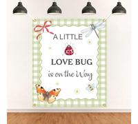 A Little Love Bug is on the Way Backdrop - Spring Daisy Baby Decor, Ladybug Butterflies Gender Reveal Baby Shower Party Decorations 5 * 4.2ft