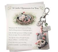 A Little Opossum for You - Still Hanging On Keychain & Sentiment Card Set, Inspirational Opossum Keychain Keepsake for Family (White)