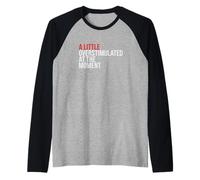 A Little Overstimulated At The Moment Neurodivergent Mood Raglan Baseball Tee