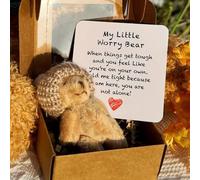 A Little Pocket Bear Hug, Little Bear in A Box, Handmade Mini Plush Tedddy BEAR in Box, My Little Worry Bears, Crochet Little Bears Hug, Emotional Support Plush Positive Gifts (Brown)