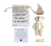 A Little Pocket Bear Hug, Pocket Bear Hug Mini Worry Bears Plush with Inspirational Cute Support Card, Gi Positive Emotional