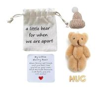 A Little Pocket Bear Hug, Pocket Bear Hug Mini Worry Bears Plush with Inspirational Positive Emotional Cute Card, Gi Support