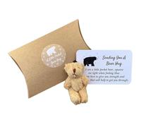 A Little Pocket Bear Hug,Sending You a Bear Hug with Pocket Hug Token Card Tiny Teddy Bear Sending You Hug Token Gift for Friends Family Couple Graduation Birthday(Light Brown)