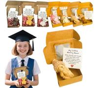 A Little Pocket Bear Hug,Worry Bear Hug in a Box,Handmade Mini Plush Teddy Bear in Box,Pocket Bears with Inspirational Card,Emotional Support Plush Positive Gifts for Women Men Christmas Birthday