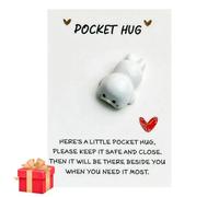 A Little Pocket Seal Hug,Pocket Hug Gift,Keepsake Gifts for Women Friends,Mini Animal Pocket Hug Seal Decoration,Special Cute Seal Pocket Keepsake Ornament,Pocket Hugs Bulk Cards