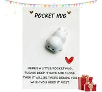 A Little Pocket Seal Hug,Pocket Hugs Keepsake Gifts,Mini Animal Pocket Hug Seal Decoration,Positive Greeting Cards Thinking of You,Gifts for Women Friendship,Good Luck Gift for Birthday