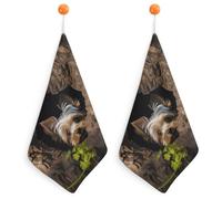 A Little Yorkshire Terrier Kitchen Towels Set -2PCS Super Absorbent Hand Towels, Soft Face Towel Set with Hanging Loop Lightweight Quick Dry Microfiber Dish Towels for Yoga Camping Hotel Spa Travel