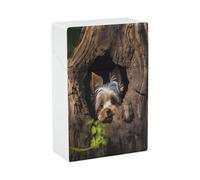 A Little Yorkshire Terrier Nestled in A Tree Hole Cigarette Case Normal Size 20 Capacity Style Cigarette Holder Case Waterproof Cigarette Case Portable Travel Cigarette Storage Box for Smoking Accesso