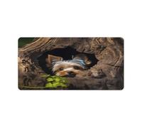A Little Yorkshire Terrier Nestled in A Tree Hole Desk Mat Fashion Large Mouse Mat Non-Slip Rubber Mice Pad Waterproof Desk Blotter Pad for Computer Keyboard Laptop, Home Office Accessories 23.6" X 11