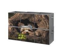 A Little Yorkshire Terrier Nestled in A Tree Hole Storage Cubes, 6 Pack Oxford Fabric Foldable Collapsible Bins with Handles, Cubby Storage Baskets Boxes for Closet Shelves Office Organization