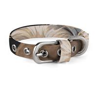 A Little Yorkshire Terrier Pet Collar Easy Snap on Buckle Adjustable Collar with 5 Hole Positions Training Collar for Large Medium and Small Pets,Pet Supplies,Stuff,Accessories