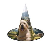 A lively little dog Halloween Witches Hats Witch Headbands Wizard Hat Costume Accessories Cosplay for Party Masquerade Foldable 1