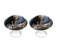 A Lone Eagle Cabinet Knobs Round Wardrobe Pulls Simple Drawer Handles with Screw Aluminum Alloy Closet Door Pull Modern Cabinet Hardware for Dresser Drawers 2 Pack