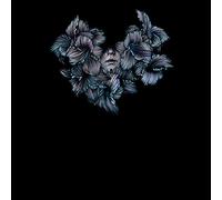 A Lot Like Birds - DIVISI [Vinyl LP] [VINYL]