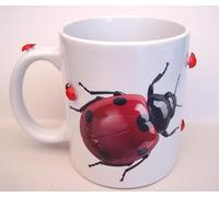A Lovely Ladybird Ceramic Mug with 3D Ladybirds Crawling Over it