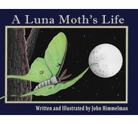 A Luna Moth's Life