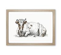 A Lying Cow by Jean Bernard Framed Print | A2 Oak Framed Wall Art | Ready to Hang | Modern Animal Picture | Living Room Bedroom Lounge Office