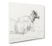 A Lying Sheep by Jean Bernard Vintage Canvas Wall Art Print Ready to Hang, Framed Picture for Living Room Bedroom Home Office Décor, 20x20 Inch (50x50 cm)