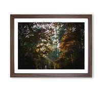A Magical Forest Modern Art Framed Print | A4 Walnut Framed Wall Art | Ready to Hang | Modern Landscape Picture | Living Room Bedroom Lounge Office