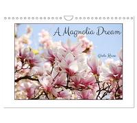 A Magnolia Dream (Wall Calendar 2026 DIN A4 landscape), CALVENDO 12 Month Wall Calendar: Magnolia, the queen of spring
