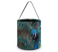A Majestic Peacock Halloween Tricking Or Treating Bag