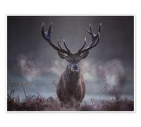 A majestic red deer stag breathing Poster by Alex Saberi 40 x 30 cm Grey Wall art Wall decor