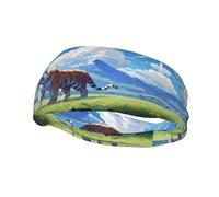 A Male Lion Sweat Band Headband for Men Women - Athletic Stretchable Breathable for Running Gym Tennis Yoga & All Sports