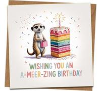 A-Meer-Zing Birthday Card - Meerkat with Rainbow Cake, Funny Pun Greeting, 145mm x 145mm Square, Blank Inside with Kraft Envelope