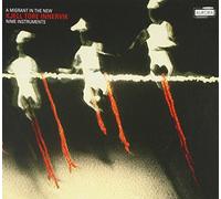 A Migrant in the New - Rolf Wallin, James Wood etc.