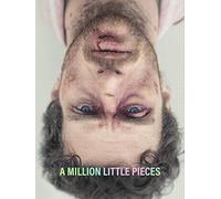 A Million Little Pieces