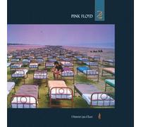 A Momentary Lapse Of Reason