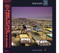 A Momentary Lapse of Reason