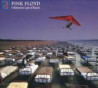 A Momentary Lapse Of Reason (2019 Remix) [Deluxe 1CD/1Blu-ray Box], , New