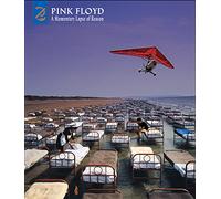 A Momentary Lapse Of Reason: Remixed & Updated [Deluxe CD/DVD]