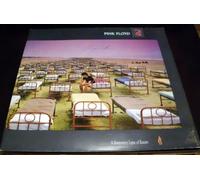 A momentary lapse of reason [VINYL]