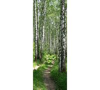 A.Monamour 3D Door Stickers for Interior Doors Birch Tree Forest Narrow Path Nature Scenery Vinyl Waterproof Self Adhesive Door Mural Decals for Bedroom Office Bathroom 77 x 200 cm