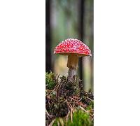 A.Monamour 3D Door Stickers for Interior Doors Fly Agaric Red Mushroom in Forest Botanical Theme Vinyl Waterproof Self Adhesive Door Mural Decals for Bedroom Office Bathroom 77 x 200 cm