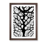 A Monochrome Tree Framed Wall Art Print A2 Walnut