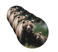 A mother and a cub bears Car Air Fresheners Cards Set of 4 Pieces,Long-Lasting Car Aromatherapy Tablets Hanging Scented Cards for Wardrobe Bathroom Rearview Mirror Hanging Ornament