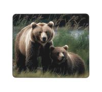 A mother and a cub bears Mouse Pad with Stitched Edge, Comfortable Mouse Pads with Non-Slip Rubber Base Gaming Mouse Mat Washable Mousepads Computers Laptop Desk Accessories for Office 11.8"x9.8"
