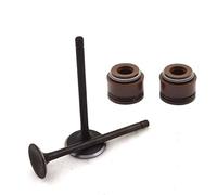 A+ Moto Intake Exhaust Valve Stem & Oil Seal Set for HONDA CRF125F (2014-2018)