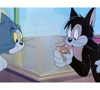 A Mouse in the House