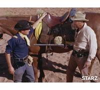 A Mule... Like the Army's Mule