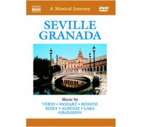 A Musical Journey: Seville, Granada